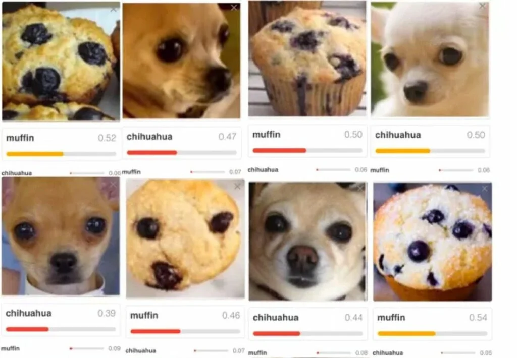 muffin-1024x710.jpg
