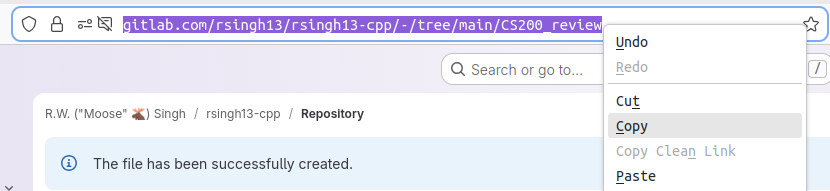 Screenshot of the address bar in the web browser highlighted with the 'Copy' option highlighted.