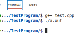 Screenshot of the VS Code terminal, a successful build and run.