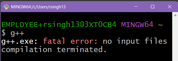 Screenshot of g++ being run in the terminal.